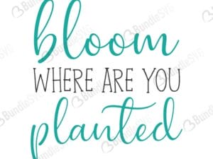 quotes free svg, quotes svg, quotes design, quotes cricut, quotes svg cut files free, svg, cut files, svg, dxf, silhouette, vector, inspirational svg, free svg, love, love quotes, bloom, where, are, you, planted, bloom where are you planted