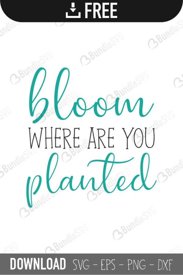quotes free svg, quotes svg, quotes design, quotes cricut, quotes svg cut files free, svg, cut files, svg, dxf, silhouette, vector, inspirational svg, free svg, love, love quotes, bloom, where, are, you, planted, bloom where are you planted