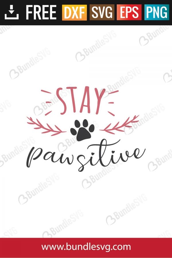 Stay Pawsitive SVG Files
