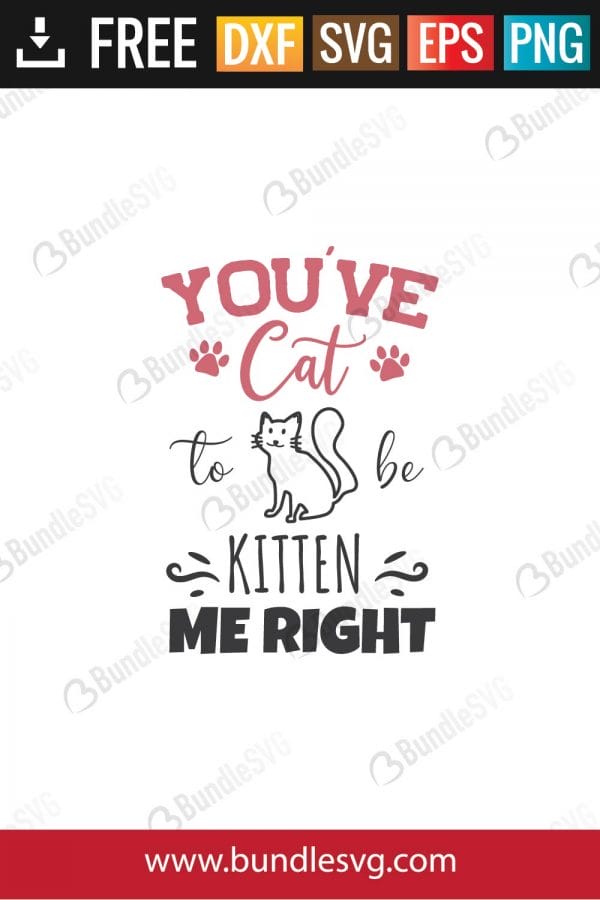 You've Cat Kitten Me Right SVG Files