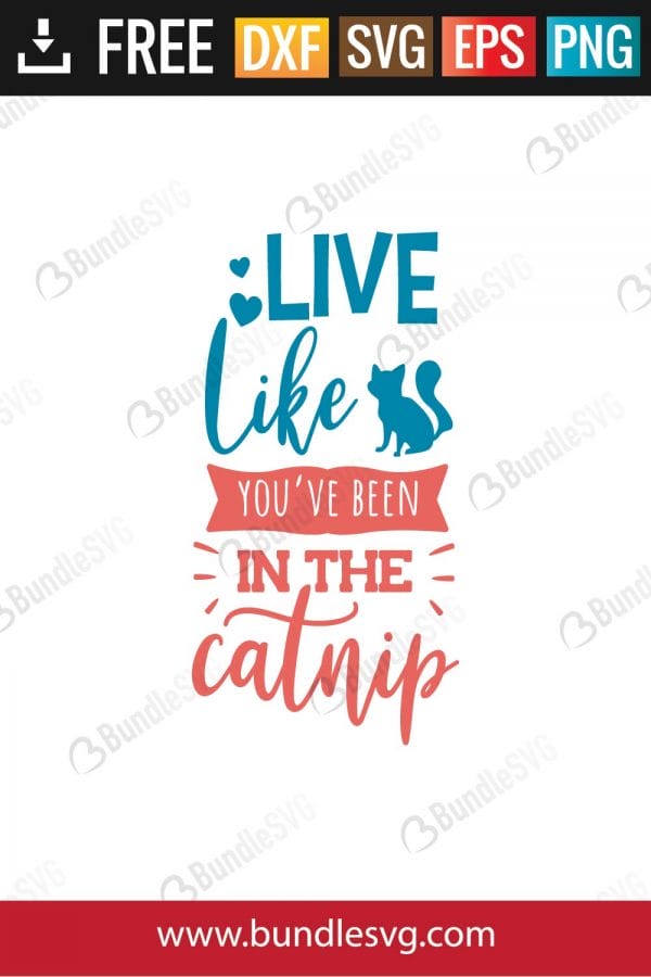 Live Like You'e Been Catnip SVG Files
