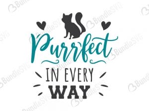 Purrfect In Every Way SVG Files