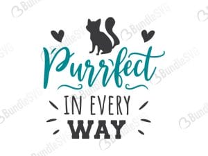 Purrfect In Every Way SVG Files