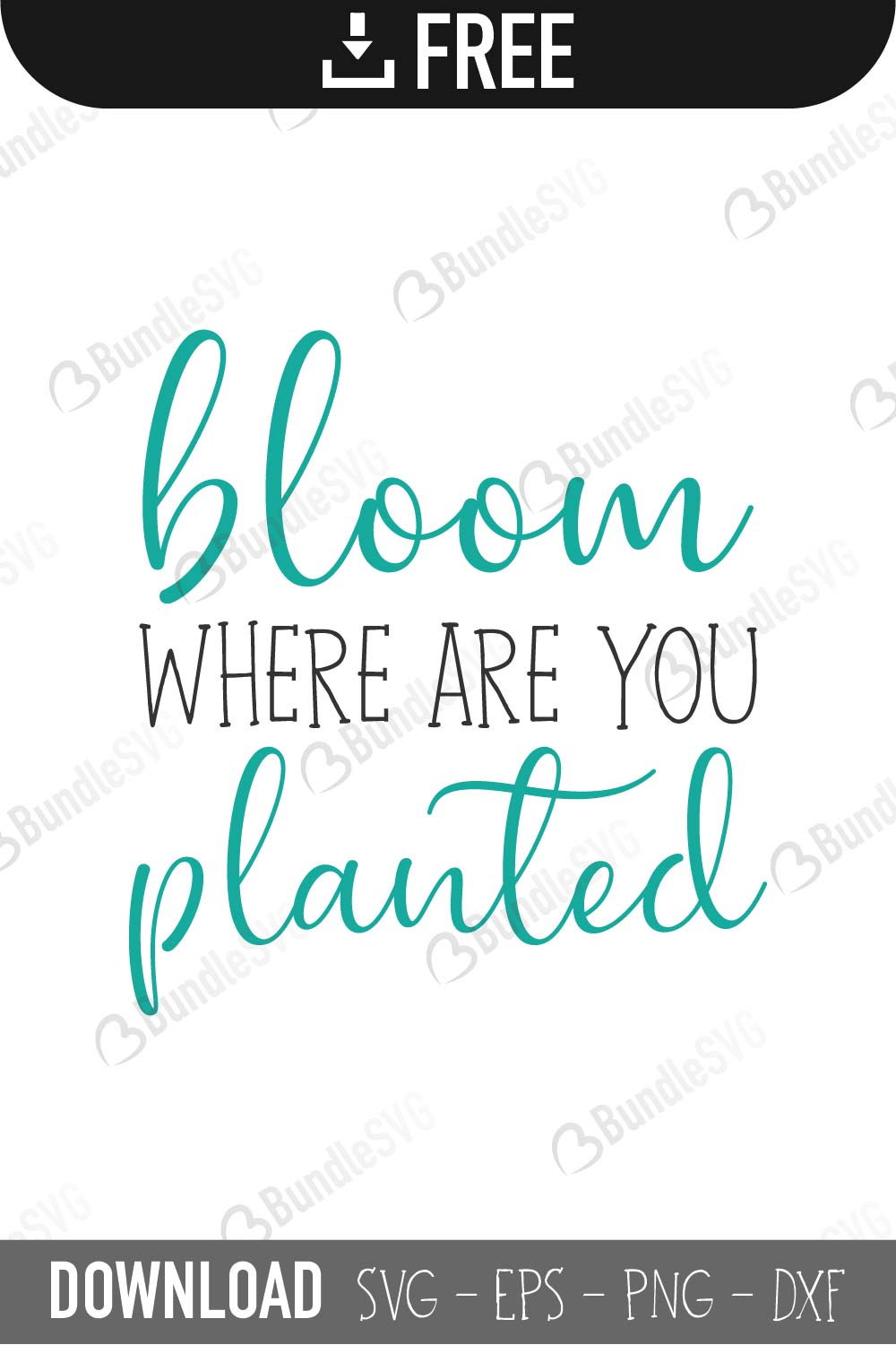 quotes free svg, quotes svg, quotes design, quotes cricut, quotes svg cut files free, svg, cut files, svg, dxf, silhouette, vector, inspirational svg, free svg, love, love quotes, bloom, where, are, you, planted, bloom where are you planted