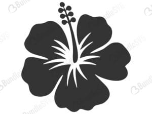 hawaiian, flower, hawaiian flower, hawaiian flower free, hawaiian flower download, hawaiian flower free svg, hawaiian flower svg files, svg free, hawaiian flower svg cut files free, dxf, silhouette, png, vector, free svg files, svg designs, tshirt, tshirt designs, shirt designs, cut, file,