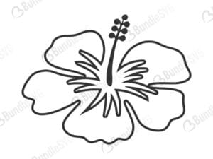 hawaiian, flower, hawaiian flower, hawaiian flower free, hawaiian flower download, hawaiian flower free svg, hawaiian flower svg files, svg free, hawaiian flower svg cut files free, dxf, silhouette, png, vector, free svg files, svg designs, tshirt, tshirt designs, shirt designs, cut, file,
