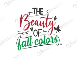 football, favorite, season, fall, sport, family, pumpkin, summer, sea, beauty, fall, autumn, free, svg free, svg cut files free, download, shirt design, cut file,