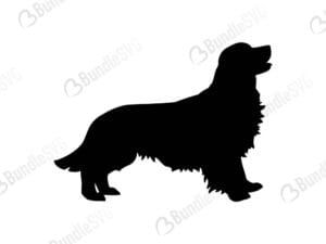 golden, retriever, puppy, dog, golden retriever free, golden retriever svg free, golden retriever svg cut files free, golden retriever download, golden retriever shirt design, golden retriever cut file,