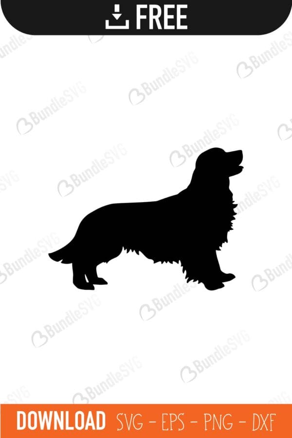 golden, retriever, puppy, dog, golden retriever free, golden retriever svg free, golden retriever svg cut files free, golden retriever download, golden retriever shirt design, golden retriever cut file,