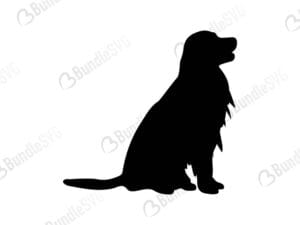 golden, retriever, puppy, dog, golden retriever free, golden retriever svg free, golden retriever svg cut files free, golden retriever download, golden retriever shirt design, golden retriever cut file,