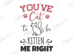 You've Cat Kitten Me Right SVG Files