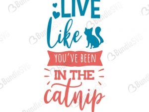 Live Like You'e Been Catnip SVG Files